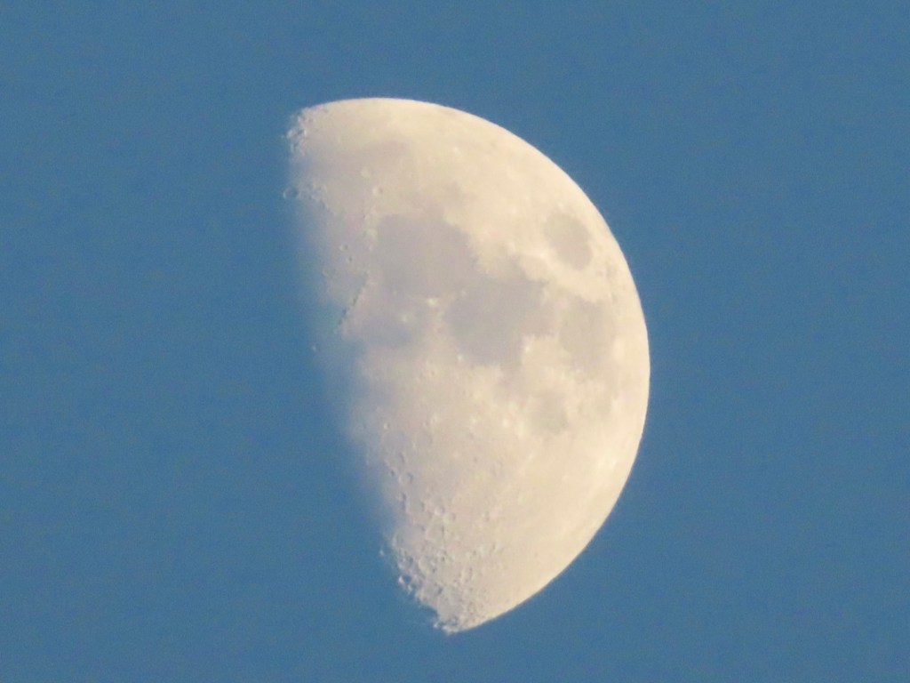 Close-up photograph of the moon against a blue sky. 