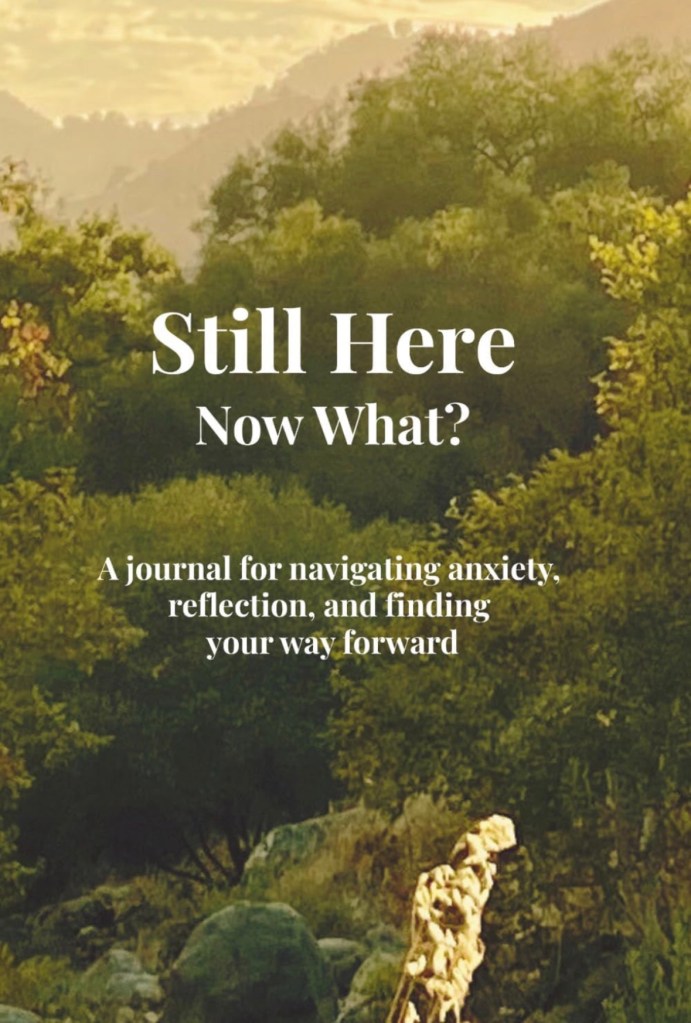 Cover of Still Here Now What? A guided reflection journal by Keri Gilson, featuring a scenic nature photogragh